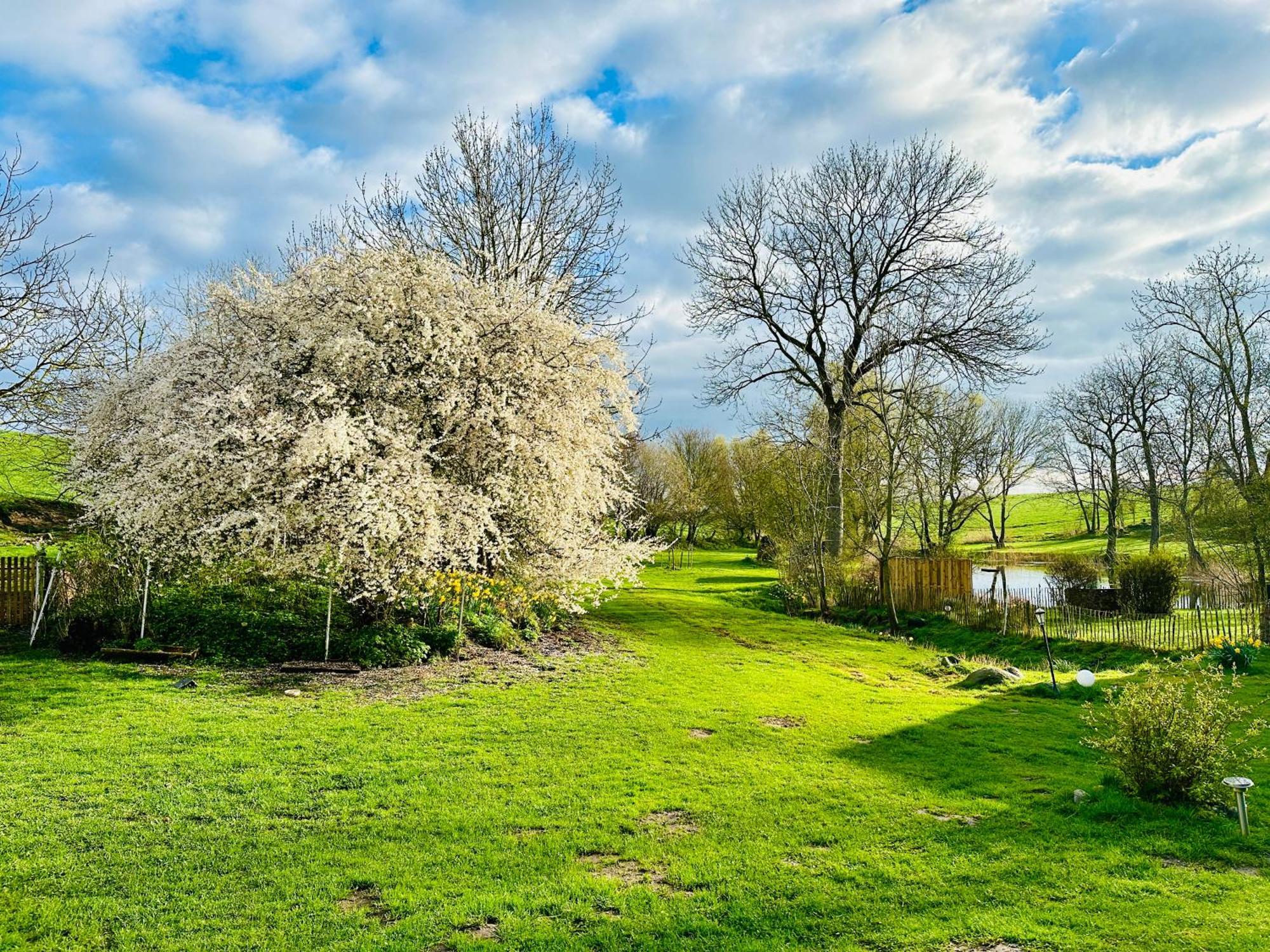 Ferienwohnung Mit Luxusbad, Terrasse Ostseenaehe Gremersdorf エクステリア 写真